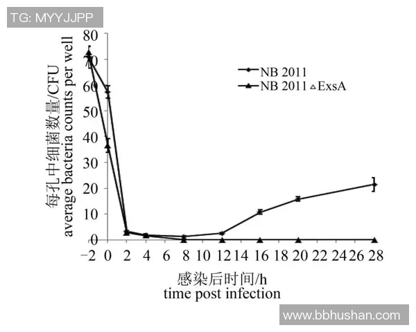 重庆排球队速度表现分析及其对比赛胜负的影响探讨