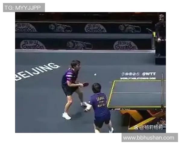 对话杨丽：谈乒乓球生涯